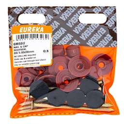 6M55 - Roof Nail & Cap